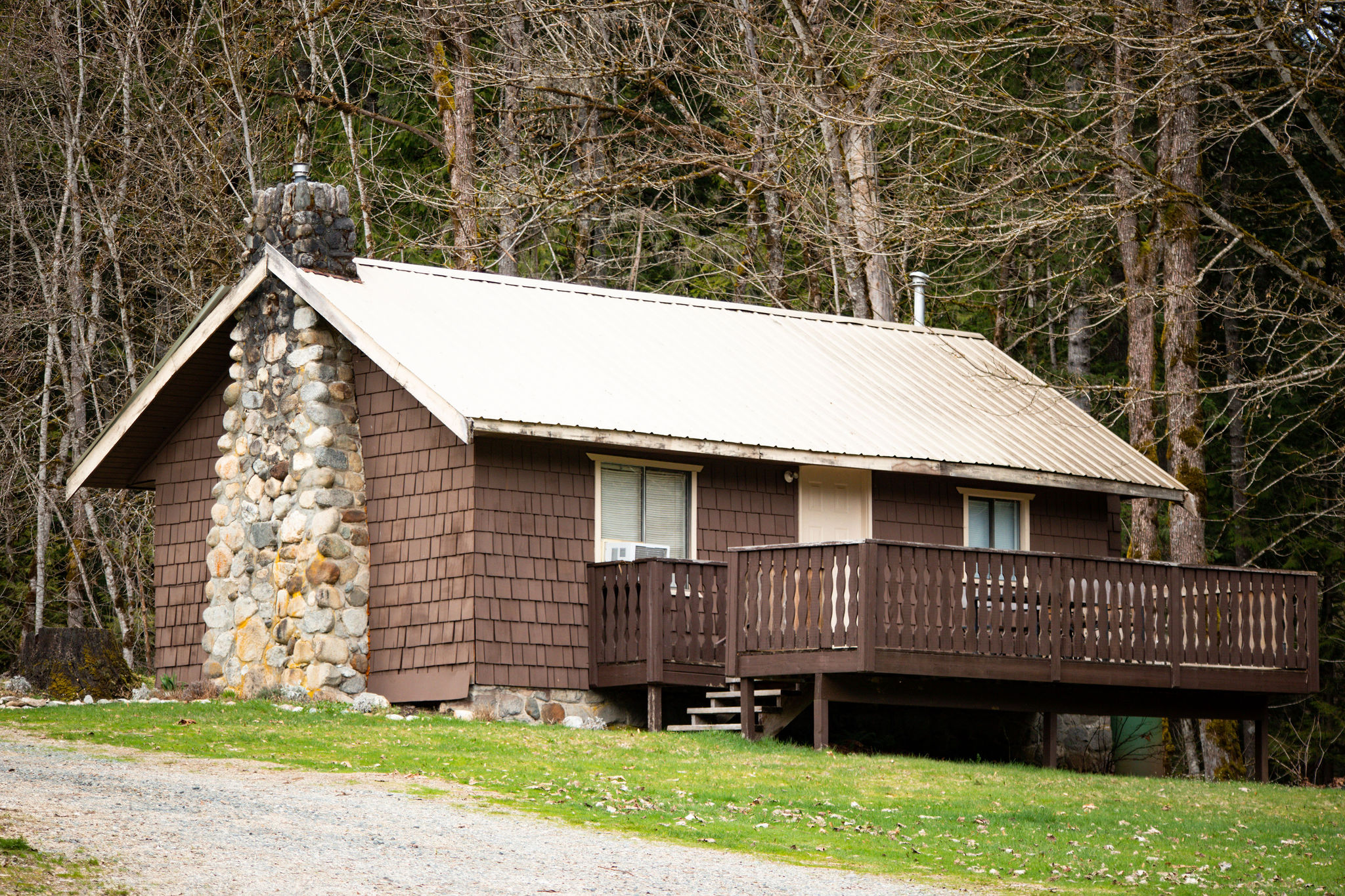 The Cabin