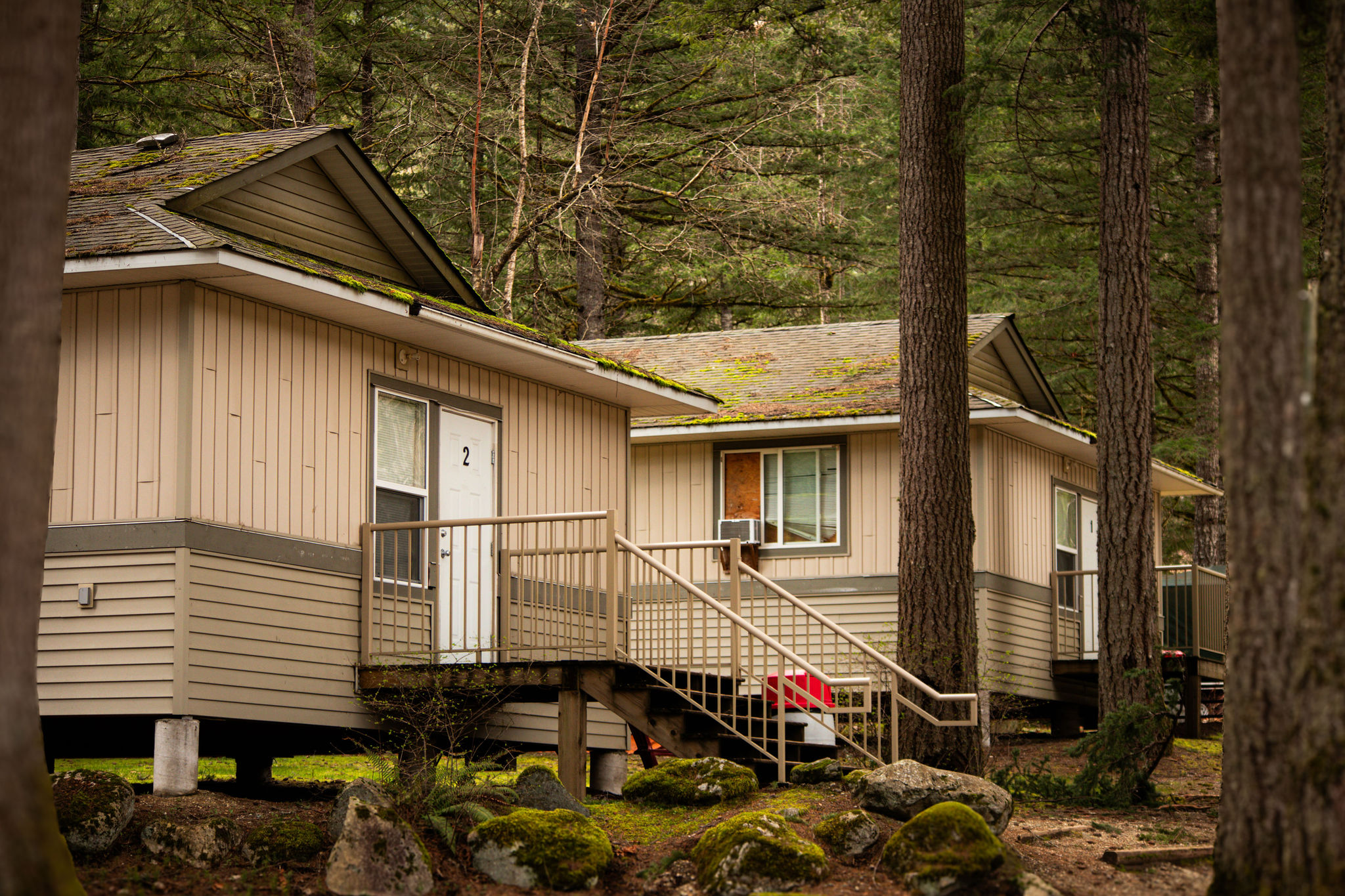 The Dorms